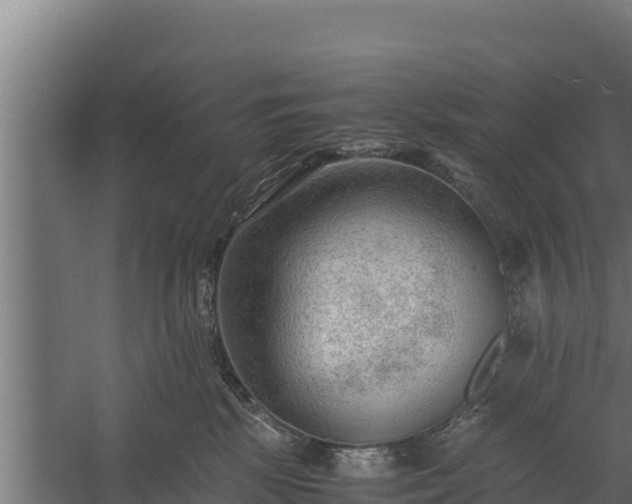 X0000060230281200511041238