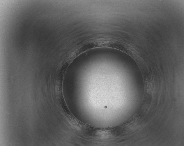 X0000060230283200511041238