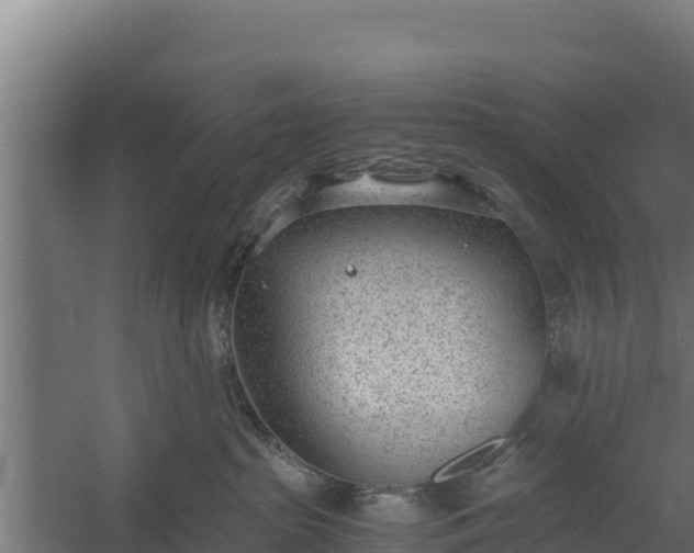 X0000060230285200511041239