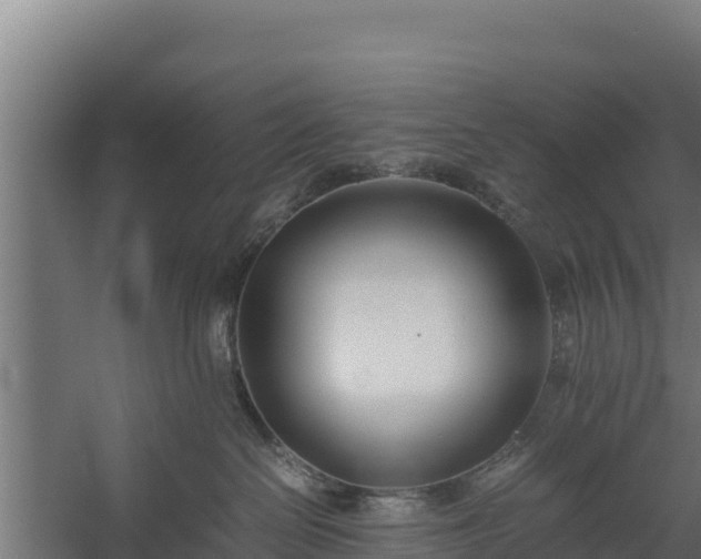 X0000060230286200511041239