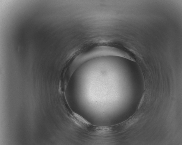 X0000060230288200511041239