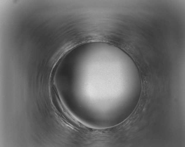 X0000060230290200511041238