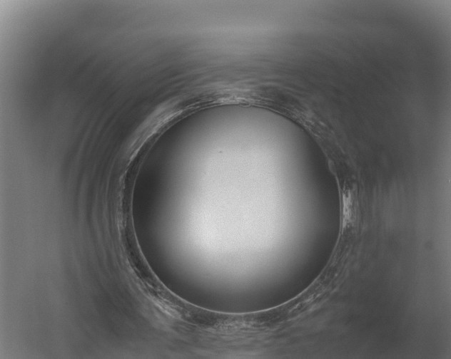 X0000060230291200511041238