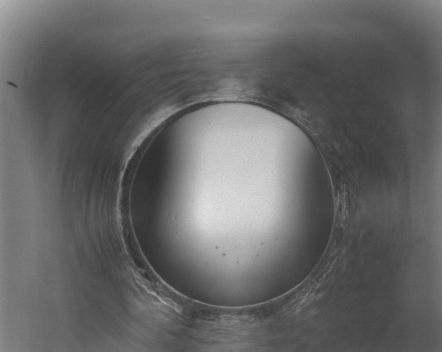 X0000060230292200511041238