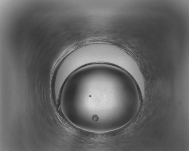 X0000060230293200511041238