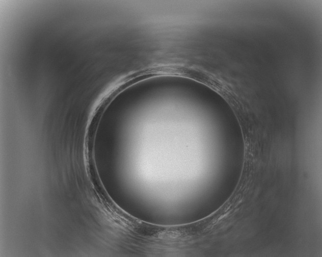 X0000060230294200511041238