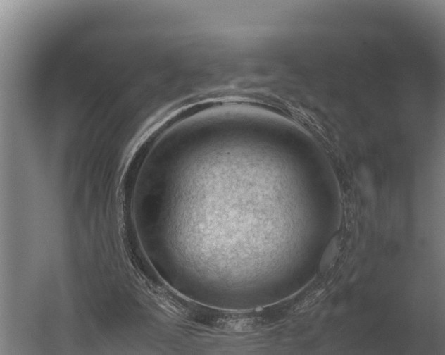 X0000060230295200511041238