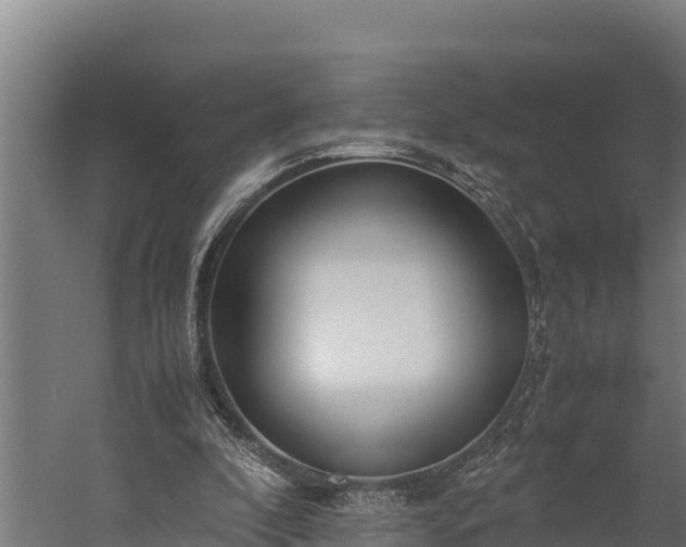 X0000060230296200511041238