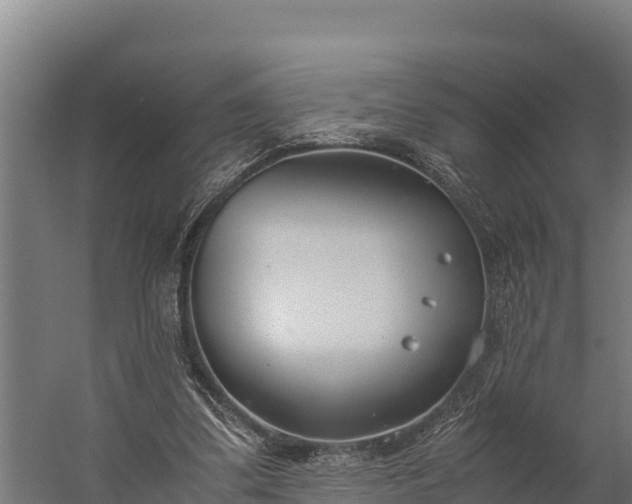 X0000060230299200511041238