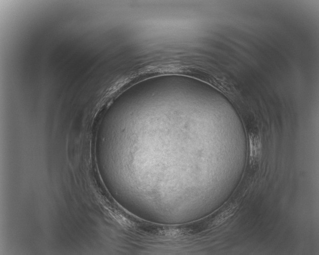 X0000060230301200511041238