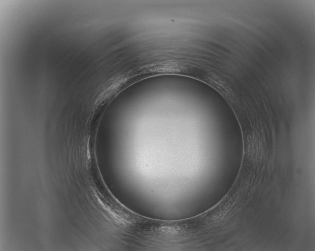 X0000060230302200511041238