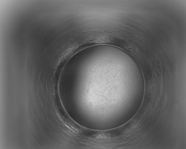 X0000060230303200511041238