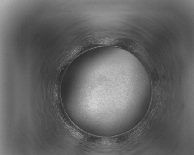 X0000060230305200511041237