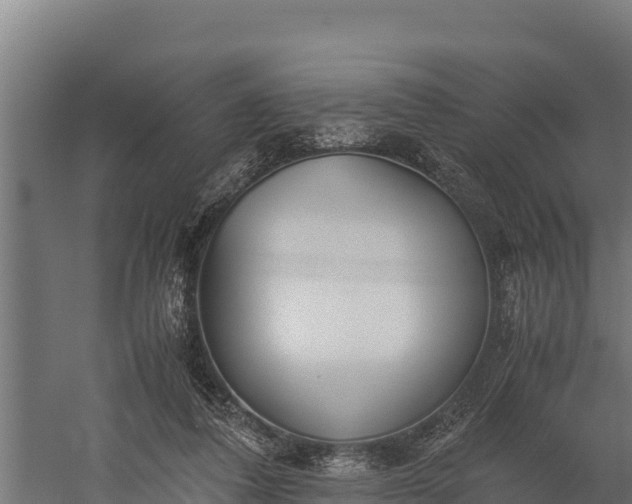 X0000060230308200511041237