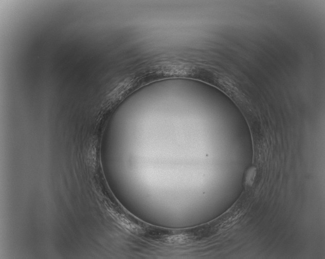 X0000060230309200511041237