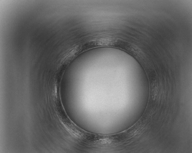 X0000060230310200511041237