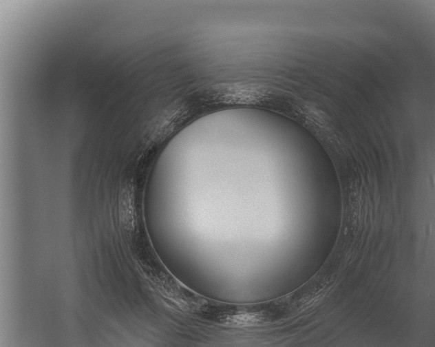 X0000060230312200511041237