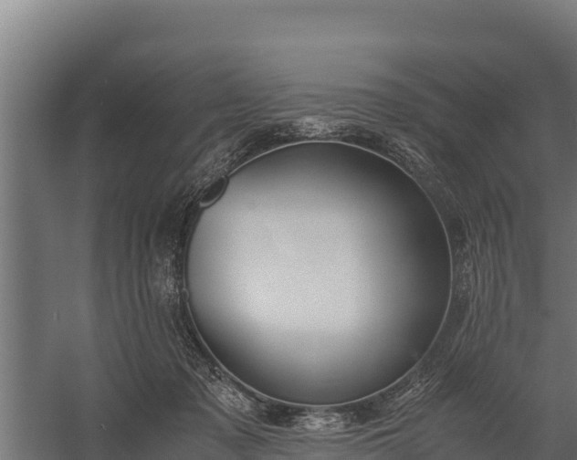 X0000060230317200511041237