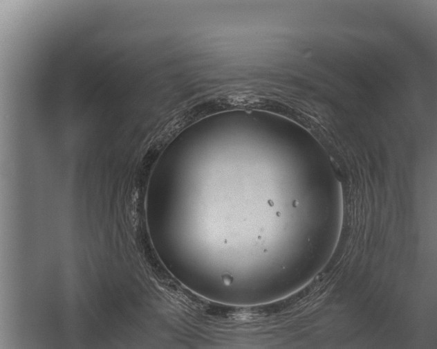 X0000060230319200511041237