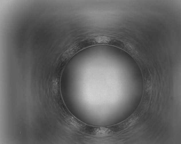 X0000060230321200511041237