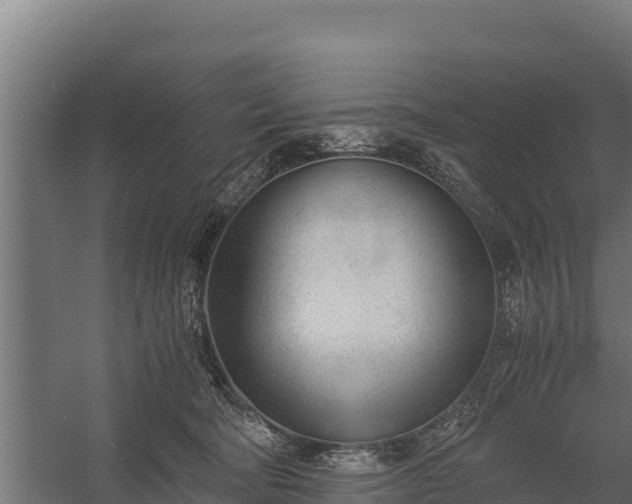 X0000060230322200511041237