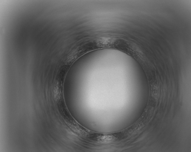 X0000060230324200511041237