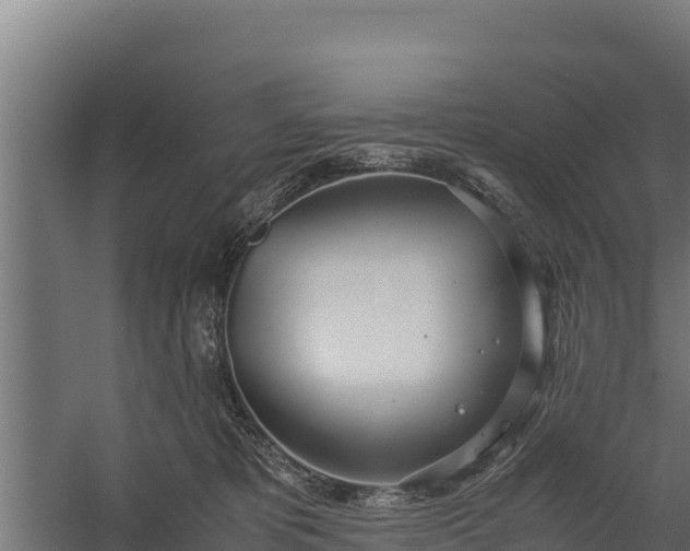 X0000060230325200511041237