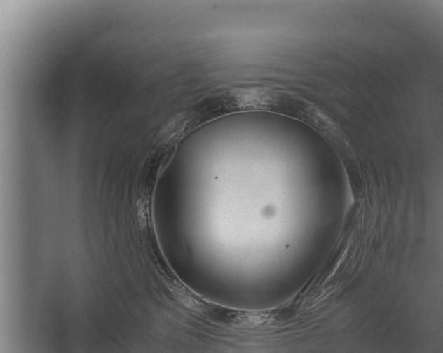 X0000060230329200511041237