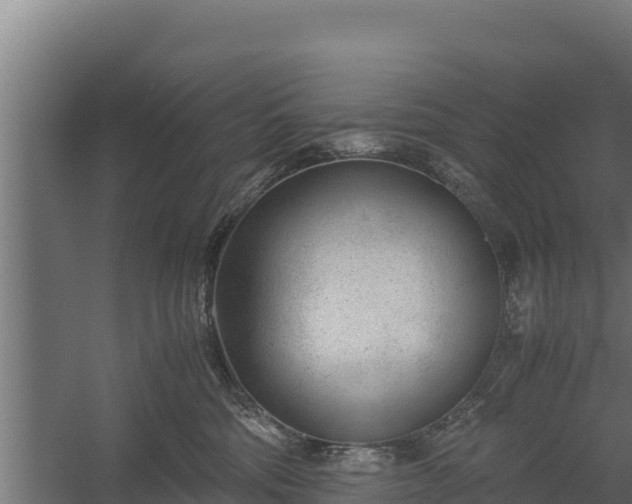 X0000060230330200511041237