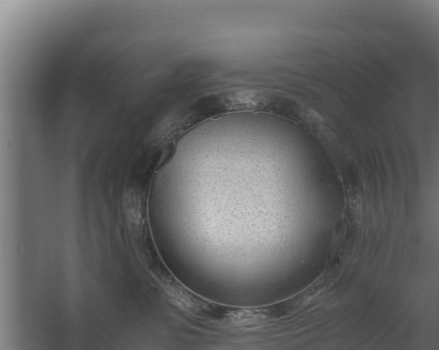 X0000060230331200511041237