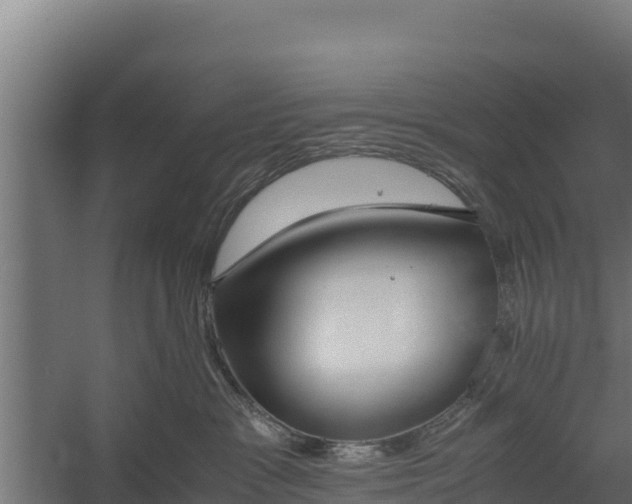 X0000060230333200511041237