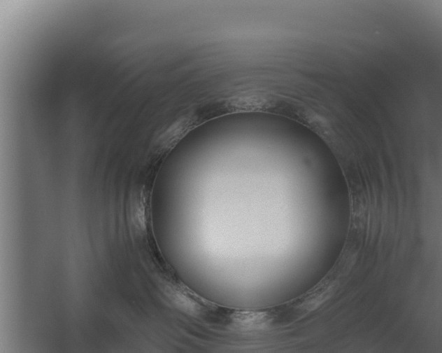 X0000060230334200511041237