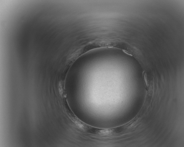 X0000060230335200511041237