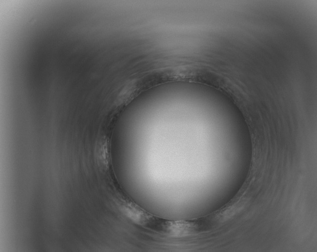 X0000060230336200511041237