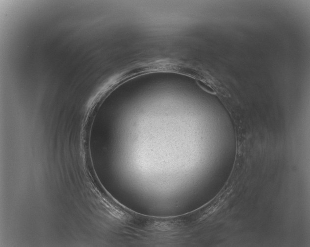 X0000060230341200511041236