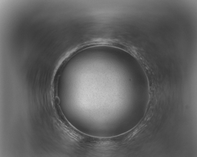 X0000060230342200511041236