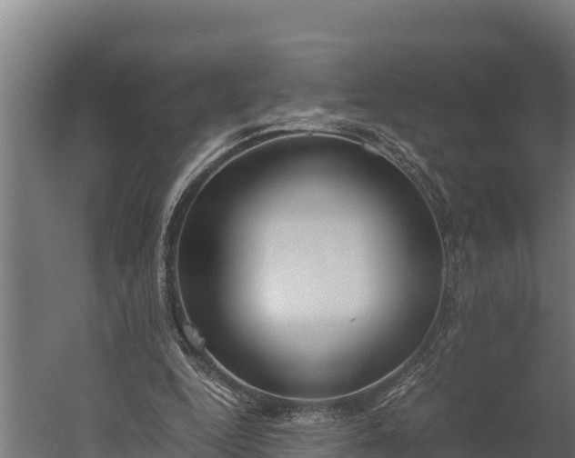 X0000060230344200511041236