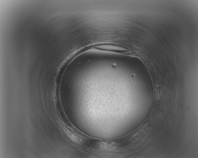 X0000060230346200511041236