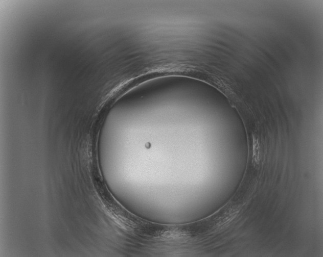 X0000060230348200511041236