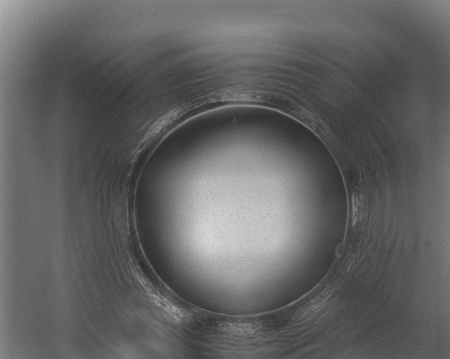 X0000060230349200511041236