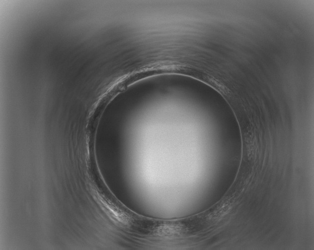 X0000060230350200511041236