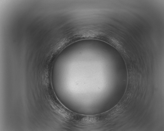 X0000060230354200511041236