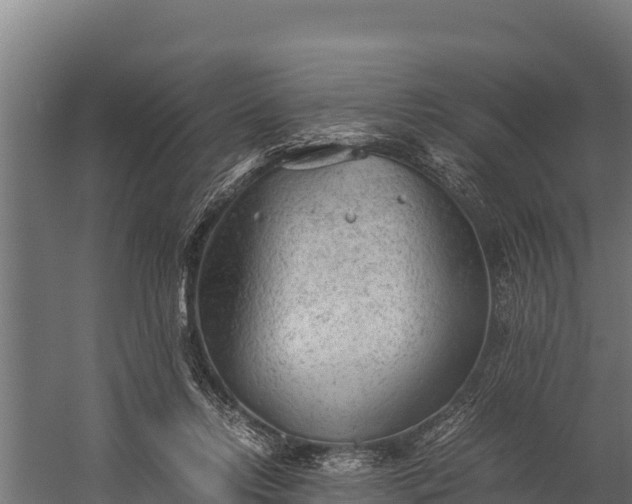 X0000060230358200511041237