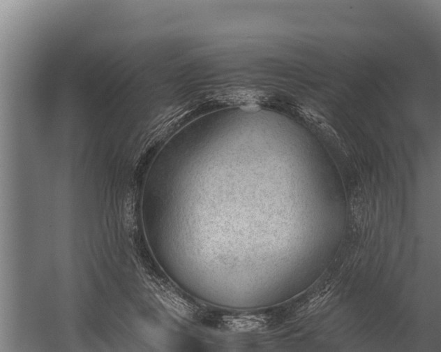 X0000060230359200511041237