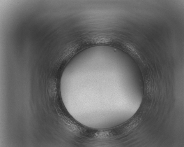 X0000060230362200511041237