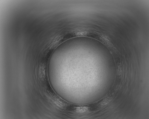 X0000060230363200511041237