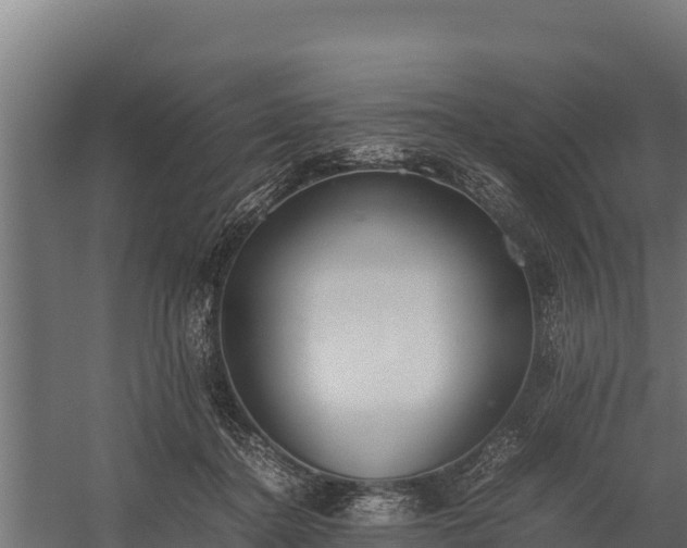 X0000060230364200511041237