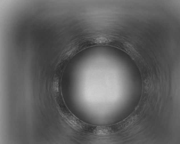 X0000060230368200511041237