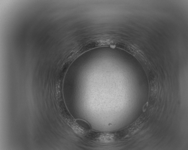 X0000060230369200511041237