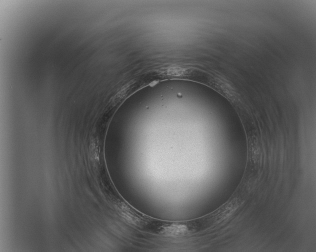 X0000060230374200511041237